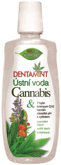 Bione DENTAMINT enjuague bucal cannabis 500 ml