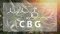 ¿Qué es el CBG y cuáles son sus efectos? ¡Te sorprenderás!