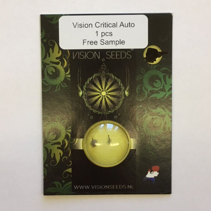 1x Vision Critical Auto (feminizované semínko od Vision Seeds)