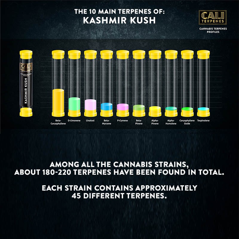 Cali Terpenes - CACHEMIR KUSH, 1 ml