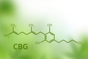 CBG: 10 přínosů kanabigerolu, „matky všech kanabinoidů“