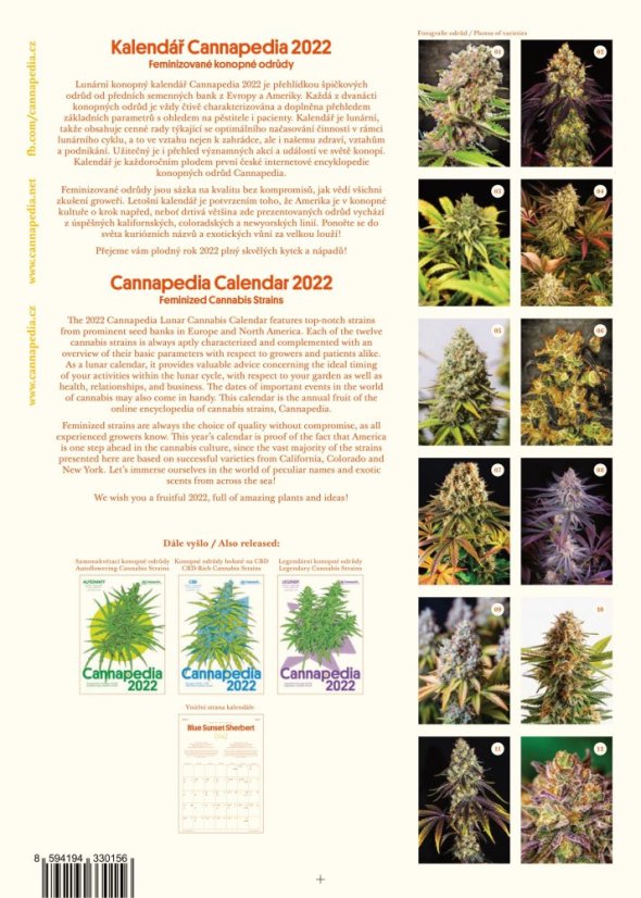 Kalendář Cannapedia 2022 - Feminizované konopné odrůdy + 2x semínko (Positronics Seeds a Seedstockers)