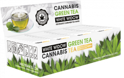 Ceai verde Cannabis White Widow - Recipient de prezentare (100 pliculete)