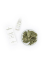 *Enecta Ambrosia CBD E-Liquid Cannabis 0,5%, 50 mg, (10 ml)