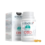 Cibdol Gelkapsler 40 % CBD, 12000 mg CBD, 180 kapsler