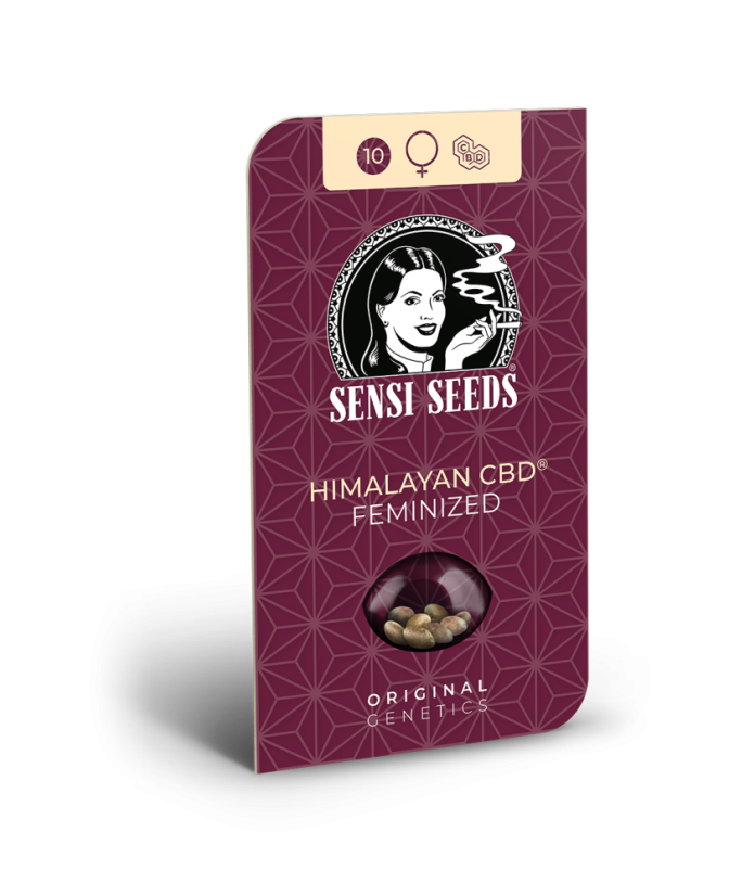 Sensi Seeds Semi di Cannabis Himalayan CBD® Femminizzati, 3-10 pz