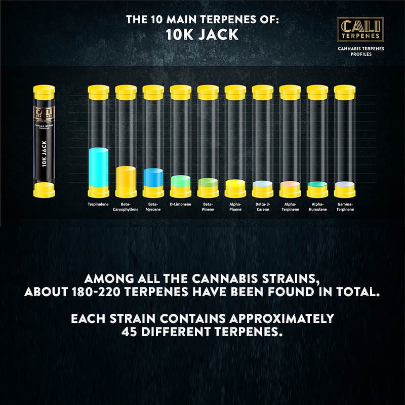 Cali Terpenes - 10K Jack, 1 ml