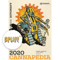 Kalendář 2020 - Samonakvétačky + 5x AK Auto od Spliff Seeds