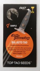 3x Big Auto Tao (regulerní samonakvétací semínka od Top Tao Seeds)