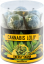 Cannabis Energy Skunk Lollies – Gaveeske (10 Lollies), 24 esker i kartong