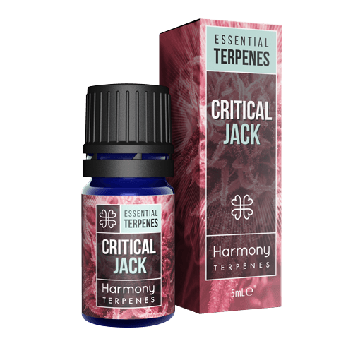 Harmony Critical Jack Essential terpenleri 5 ml