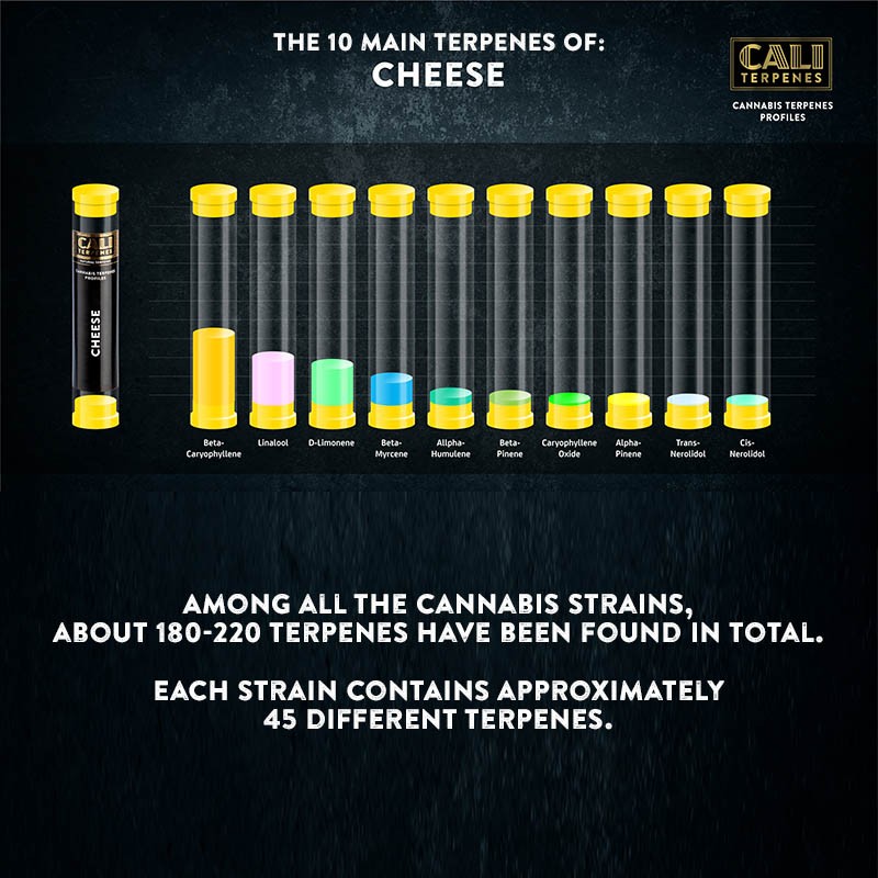 Cali Terpenes - Cheese, 1 ml