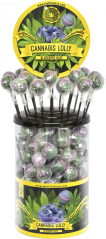 Cannabis Blueberry Haze Lollies – Displaybehållare (100 Lollies)