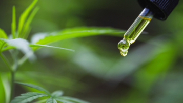 6 uses of CBD for pain and inflammation relief with evidence