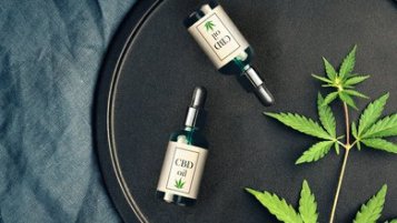 CBD oil - hemp or coconut, pure or flavoured. How to choose correctly?