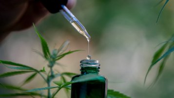 What is CBD, and what can it do?