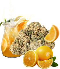 Eighty8 CBD hamp blomst Lemonade -1 til 25 gram