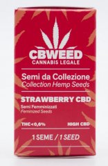 Cbweed Strawberry CBD - 1x feminizované semienko