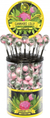 Cannabis Bubble Gum Lollies – Displaybehållare (100 Lollies)
