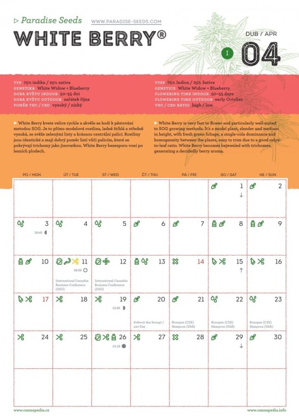 Kalendář 2017 - Feminizované konopné odrůdy + 9 semínek