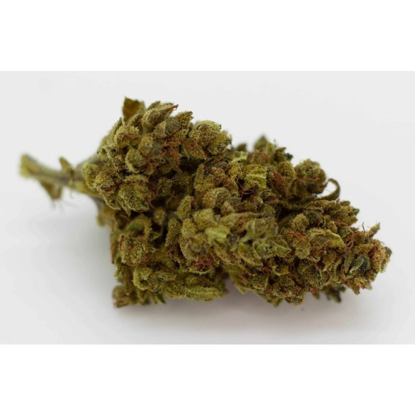 Cbweed Mango Haze CBD virág - 2-5 gramm