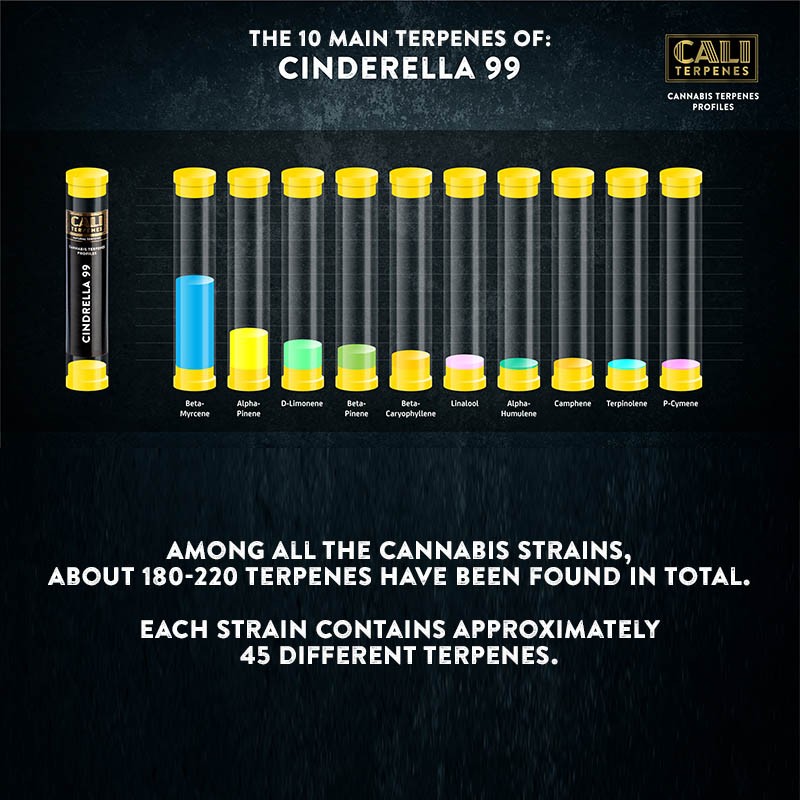 Cali Terpenes - Cendrillon 99, 1 ml