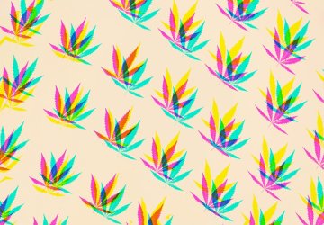 Psychedelic cannabis leaves on a neutral coloured background
