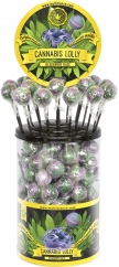 Pirulitos de cannabis Blueberry Haze - Recipiente de exibição (100 pirulitos)