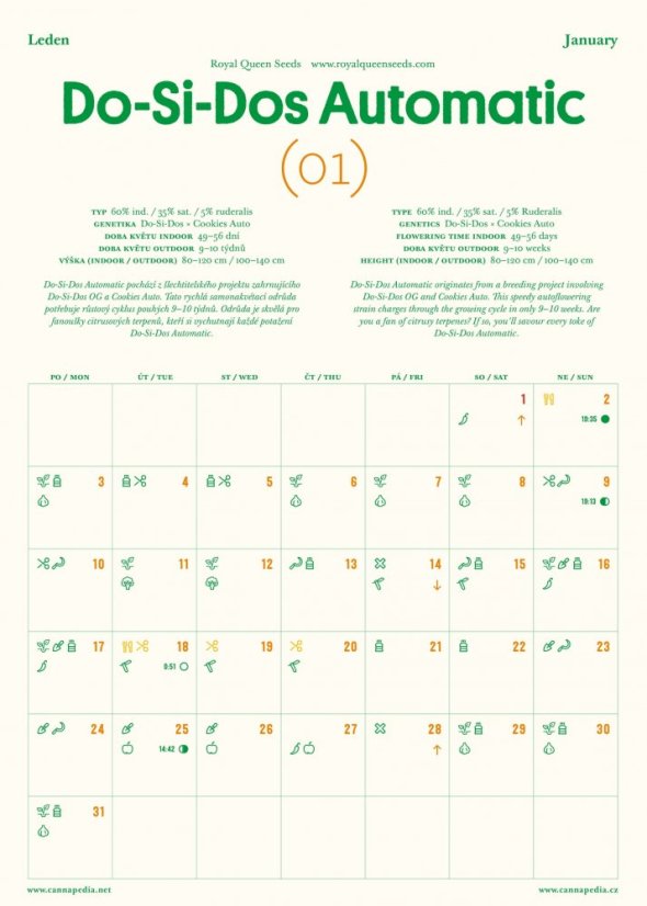 Cannapedia Kalendārs 2022 - Automātiska ziedēšana kaņepju celmi + 2x sēklas (Green House Seeds un Seedstockers)