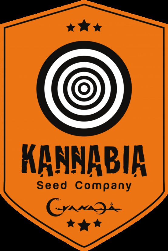ROOTS - Roční předplatné (12 čísel) + 4 semínka Sativa Dream od seedbanky Kannabia