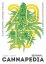 Calendrier Cannapedia rok 2017 - Samonakvétací konopné odrůdy