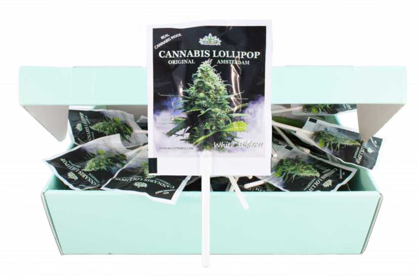 HaZe Cannabis White Widow lizalice – izložbena kutija (100 lizalica)