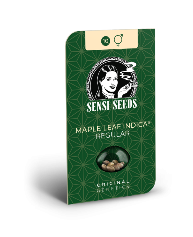 Sensi Seeds Cannabisfrön Maple Leaf Indica® Regular, 10 st