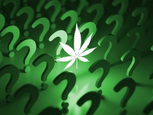 Groene vraagtekens omringen het witgekleurde cannabisblad, dat CBG9 is