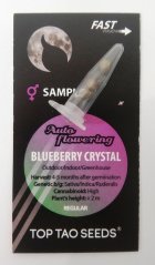 3x Blueberry Crystal (regulérní samonakvétací semínka uit Top Tao Seeds)