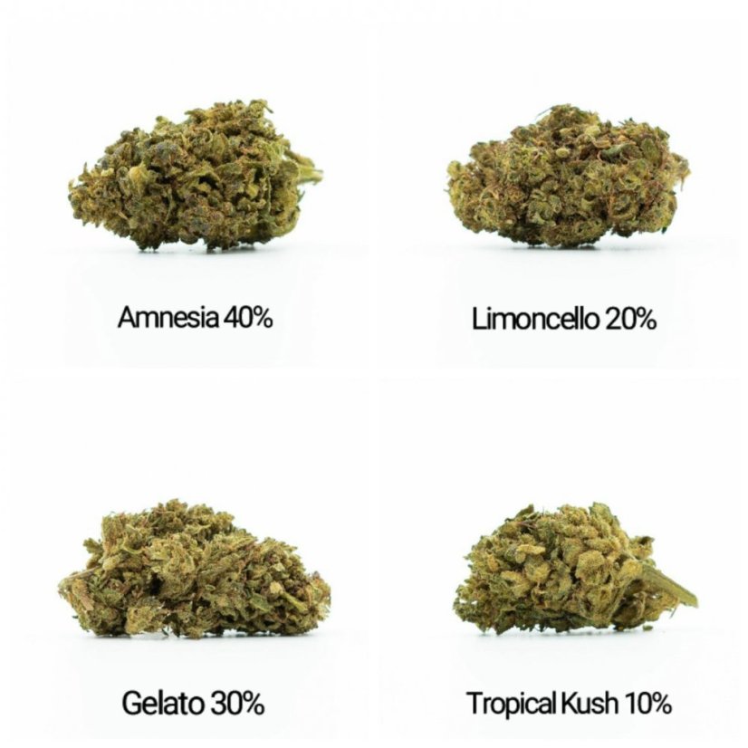 Комплект проби HHC Flowers - Tropical Kush 10%, Limoncello 20%, Gelato 30%, Amnesia 40% - 4x1g