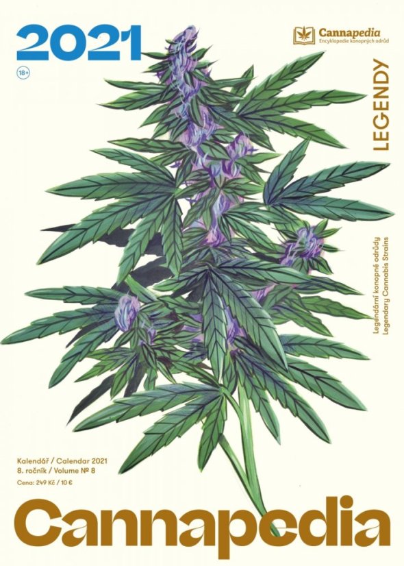 Edition der Cannapedia-Kalender 2021 + 16 Cannabissamen aus 8 verschiedene Seedbanks