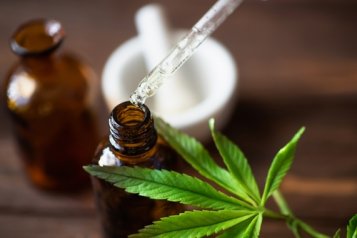CBD drops in the role of a nootropic