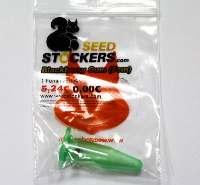 3x gumă de mure (feminizovaná semínka od Seed Stockers)
