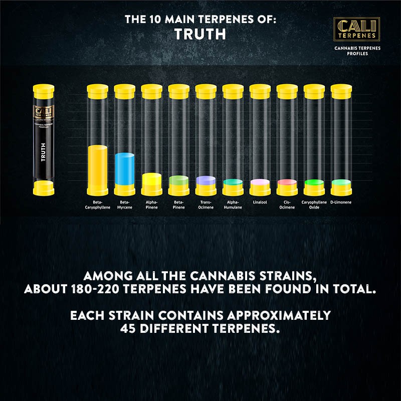 Cali Terpenes - TRUTH, 1 ml