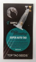 3x Super Auto Tao (κανονικοί σπόροι αυτόματης άνθησης από Top Tao Seeds)