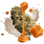 Eighty8 CBD hamp blomst Cream Caramel -1 til 25 gram