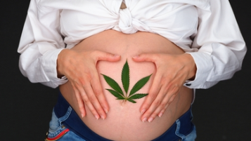 Bruk av cannabis under graviditet og amming