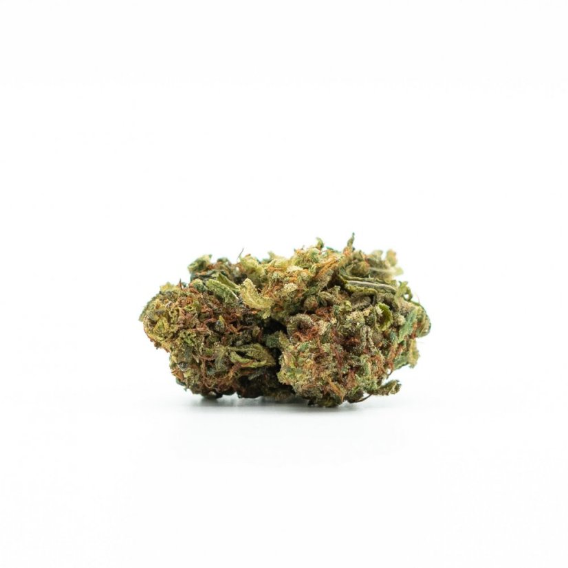 Canalogy HHC fiore Royal Skunk 30 %, 1g - 100g