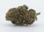 Cbweed Goril Tutkalı CBD Çiçeği - 1 gram