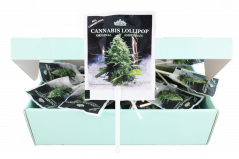 HaZe Cannabis fehér özvegy nyalókák – bemutató doboz (100 nyalóka)