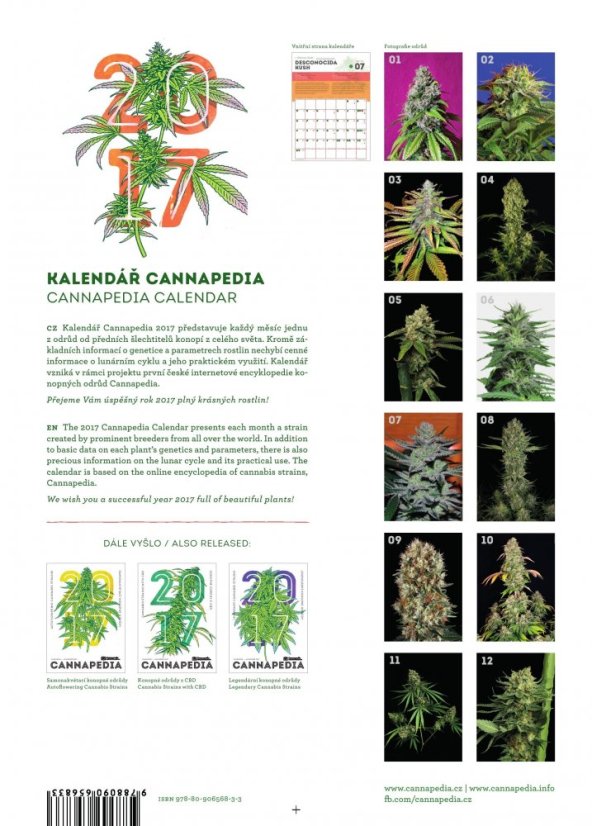 Kalendář Cannapedia 2017 - Feminizované konopné odrůdy + dvě balení semínek