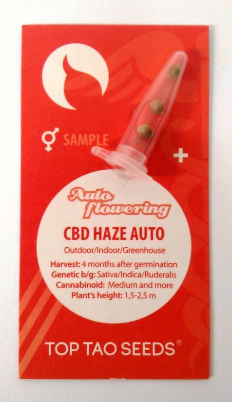 3x CBD Haze Auto (vanliga autoflowering frön från Top Tao Seeds)