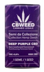 Cbweed Adânc Violet CBD - 1x Auto-înflorire Sămânță feminizată