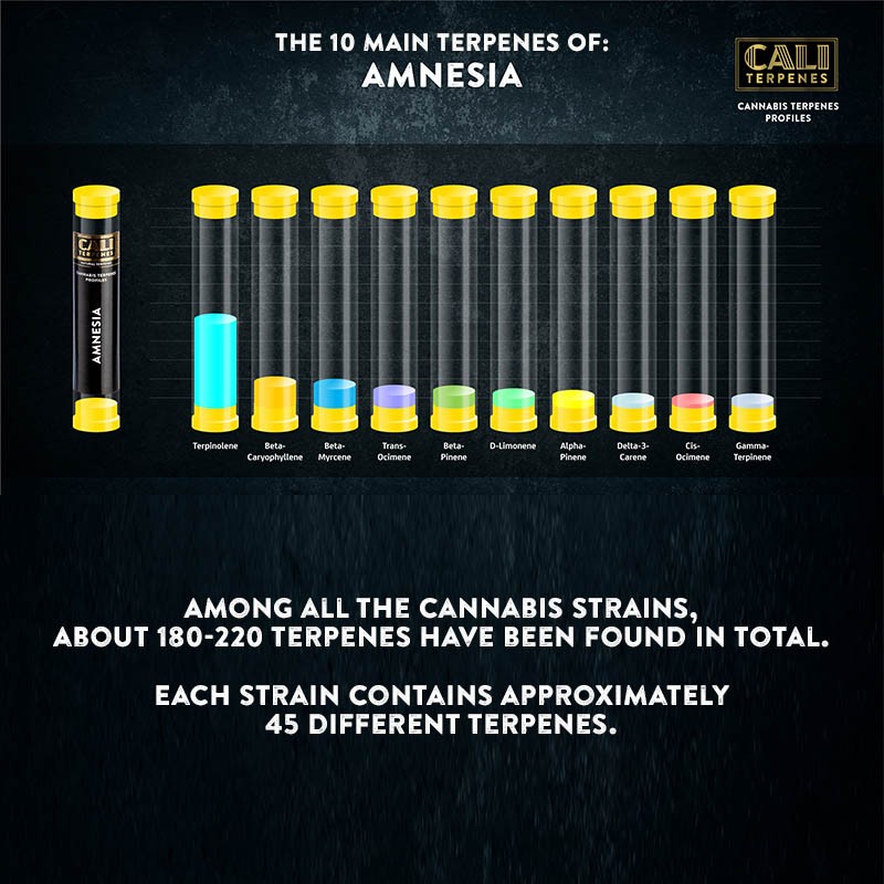 Cali Terpenes - Amnesi, 1 ml